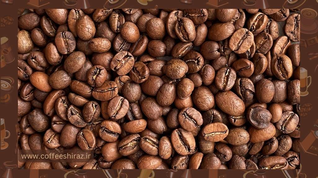 نگهداری قهوه عربیکا