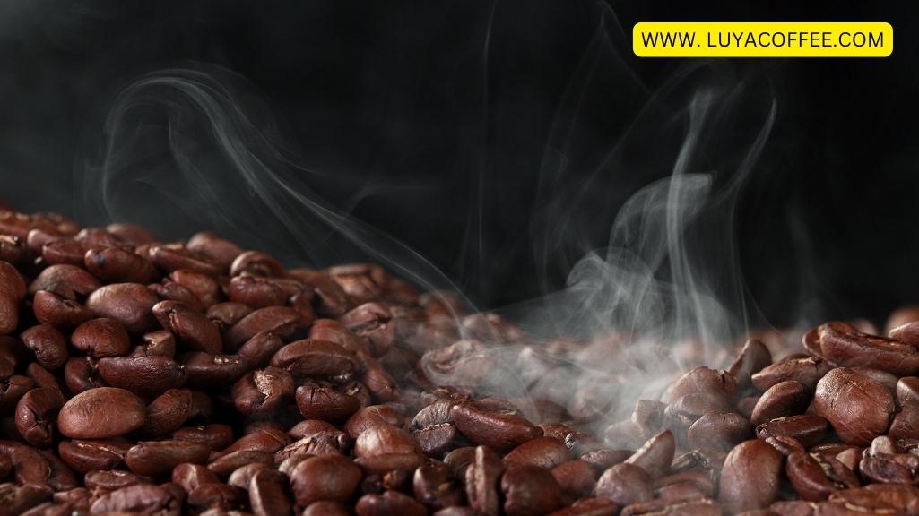فرهنگ نوشیدن قهوه در نروژ با دانه ای با کیفیت قهوه 