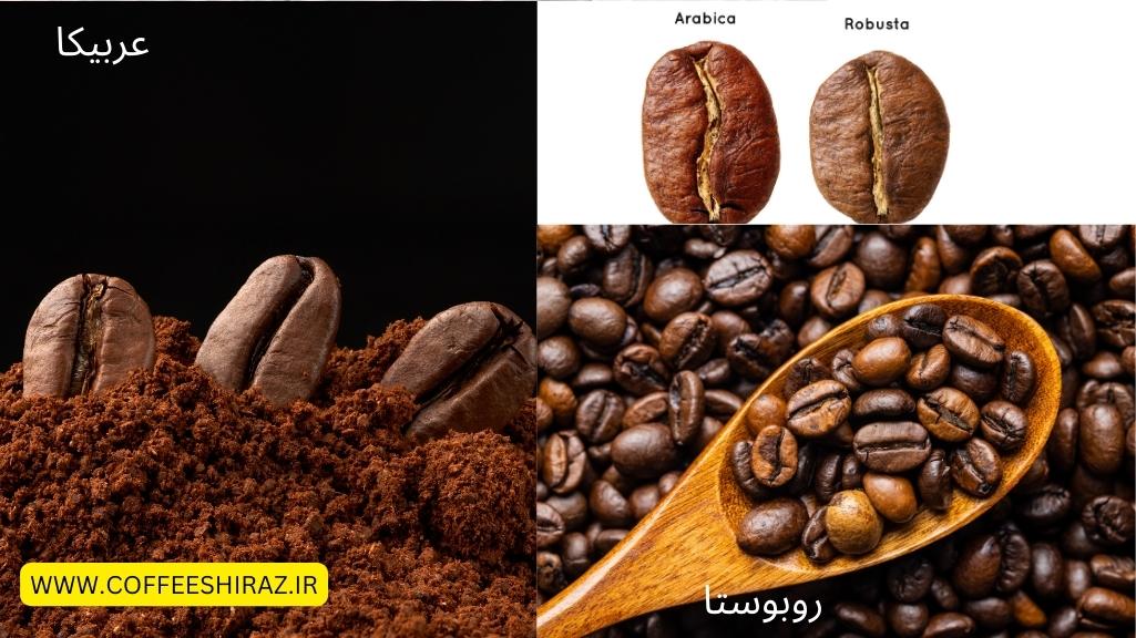 انواع دانه های قهوه