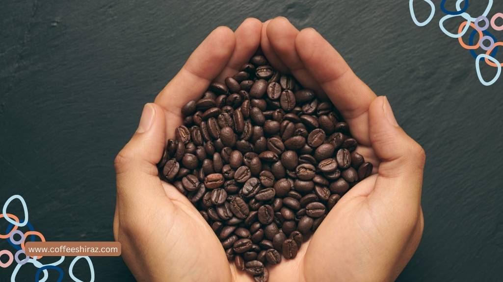 قهوه اسپشیالیتی چیست