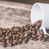 خرید قهوه عربیکا گواتمالا