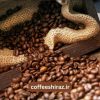 قهوه اسپشیالیتی پاناما