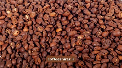 قهوه گیشا ویلج اتیوپی