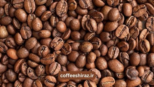 قهوه السالوادور عربیکا اسپشیالیتی