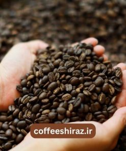 قهوه عربیکا اتیوپی لیمو واش