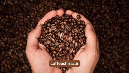 قهوه سیدامو G2 اتیوپی اسپشیالیتی